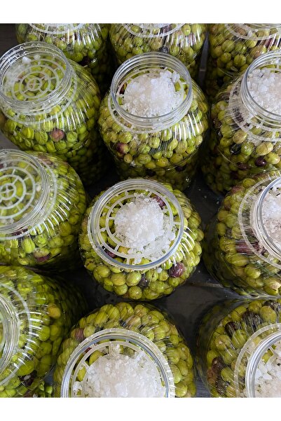 mut incisi zeytin & zeytinyağı Yeşil Kırma Zeytin ( 4 adet 5 litrelik Pet şişe ) Acı Halde