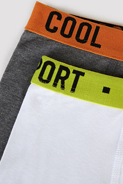 Penti Erkek Çocuk Cool Spor 2li Boxer