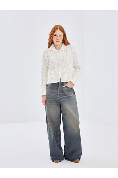 LC Waikiki Polo Collar Self Patterned Women's Knitwear Cardigan