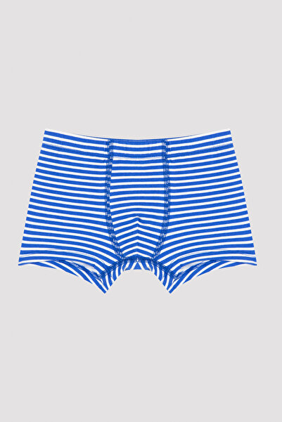 Penti Çok Renkli Erkek Çocuk Çizgili 2'li Boxer
