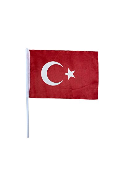 TOPNET 20x30 Alpaka Bez Bayrak Plastık Sopalı 10 Lu