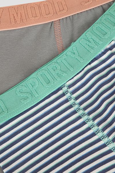 Penti Πολύχρωμα Boxers 2 τεμαχίων με λεπτομερή μοτίβο αγοριού