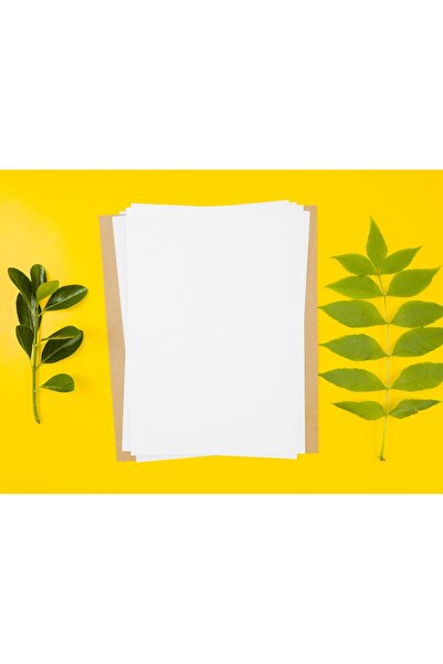 Grdall 10 ورق سميك غير مطبوع مقاس A4 فارغ - 300 جرام الأول ورق شهادة العجين -...