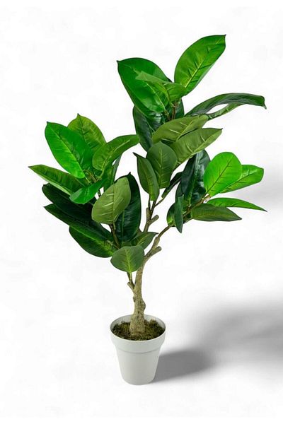Nettenevime Τεχνητό λουλούδι Rubber Tree 85cm Σαλόνι Λουλούδι Λευκό Τεχνητό Φυτό σε γλάστρα