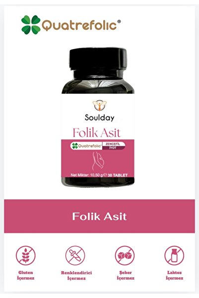 Soulday Folik Asit