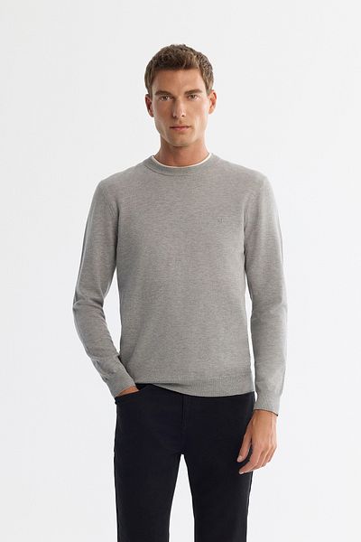 Avva Men's Gray Viscose Crew Neck Knitwear Sweater B 005132