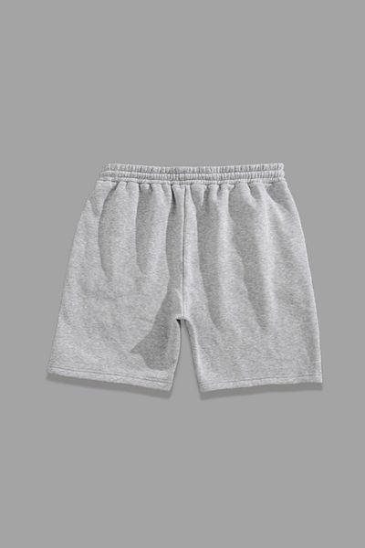 Renaissance Gray Printed Unisex Women's/men's Plus Size Shorts
