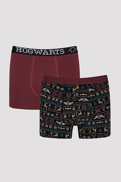 Penti 2-Piece Boxer - Harry Potter Collection