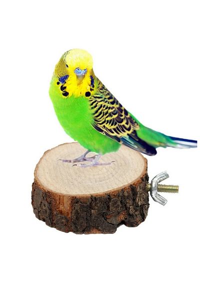 Alyones Round Wooden Squirrel and Parrot Perch Stand - Diving Platform for Pet Birds