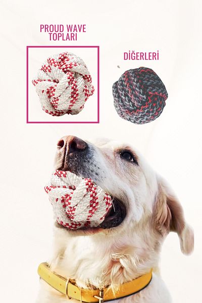 Proud Wave Four Pcs Dog Ball Training Toy - Dog Play Ball