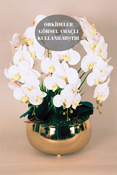 Yaren Style Büyük Gold Metal Orkide Saksısı Vazo / Çiçekler Görsel Amaçlı Kul...