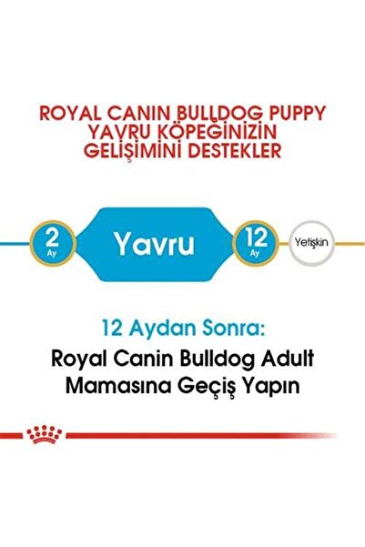 Royal Canin French Bulldog Junior Yavru Köpek Maması 3 Kg