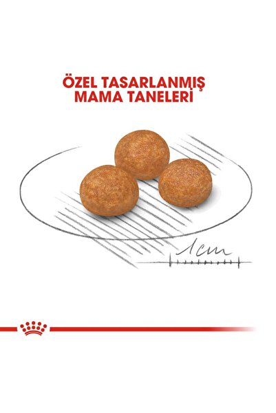 Royal Canin XSmall Adult Yetişkin Köpek Maması 1,5 Kg