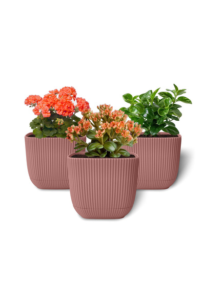 ToXA 3 Adet 1.8 Litre Soft Pembe Mercan Kare Saksı Kaktüs Sukulent Saksısı Tabaklı Plastik Saksı