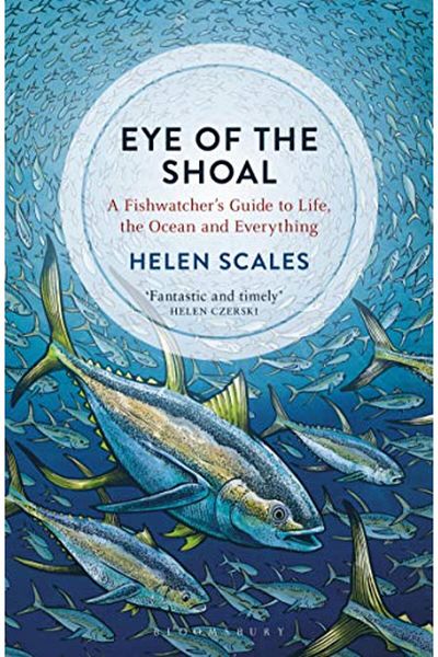 Bloomsbury Eye of the Shoal: A Fishwatcher's Guide to Life, the Ocean and Everything