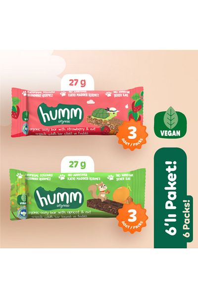 Humm Organic Organic Vegan Oat Bar Snack Package - 6 Pieces (2 Types)