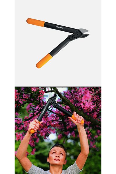Magnotto Garden Dry Branch Scissors - Age Branch Pruning and Shaping Hand Tools