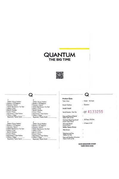 Quantum Men's Wristwatch Hng1067.300-1