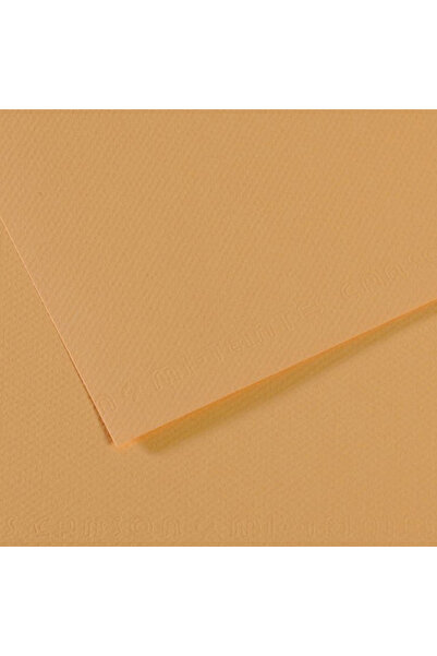 Generic Brand Canson Background Cardboard (Textured) Mi-Teıntes 50x65 160 GR ...