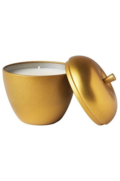 IKEA VİNTERFINT Metal kutuda mum 24 saat vanilya tarçın tatlı elma 9 cm