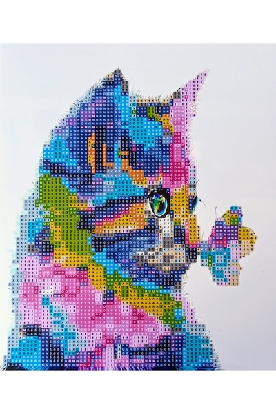 MENTAŞ Boncuklu Taşlı Mozaik Elmas Boyama Goblen Ebat21x25 Çocuklar İçin