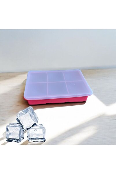 Dasupo Kare Kapaklı Buz Kalıbı 6'lı