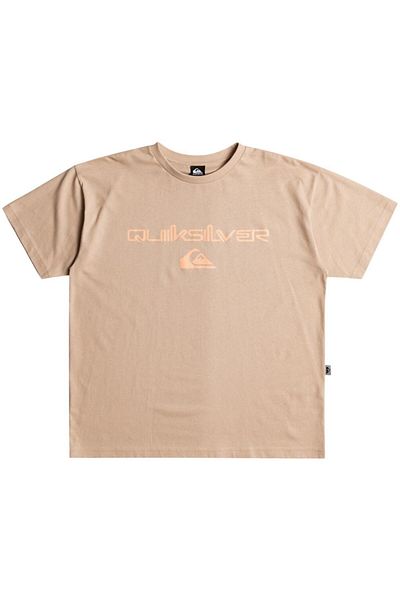 Quiksilver Ανδρικό μπλουζάκι Vintage Omni And Logo Tee