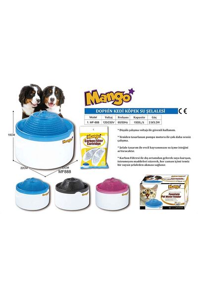 Dophin Cat Dog Water Waterfall