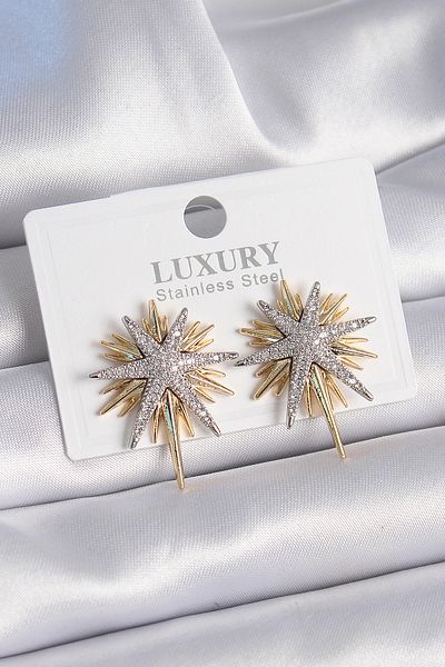 Paurella Brass Gold Color Zircon Stone Polar Star Model Women's Earrings