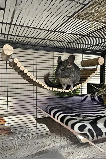 Alyones Ahşap Köprü - Çinçilya ve Degu Kafesi Aksesuarları
