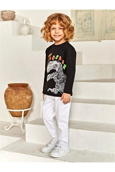 Zekids Мъжка блуза с дълги ръкави и принт на динозавър