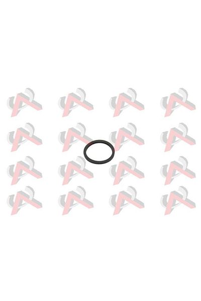 DEKAR Clio R19 Thermostat Orging