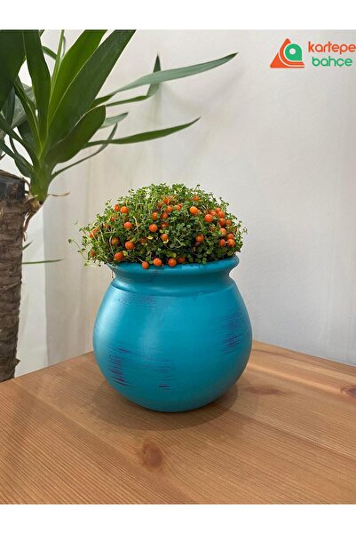 kartepe bahçe Avanos Balkon Saksı