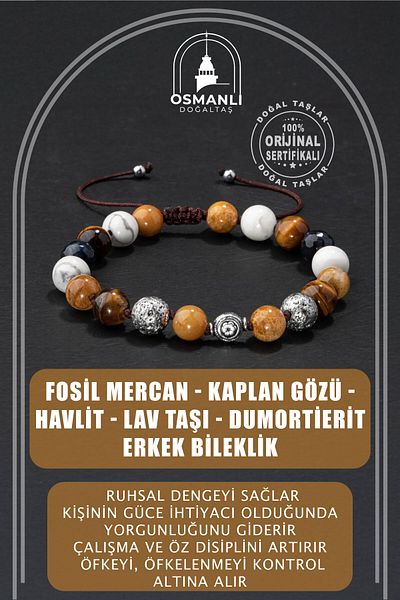 OSMANLI DOĞAL TAŞ Fossil Coral-Tiger Eye-Hawlit-Lavestone-Dumortierite Natural Stone Silver Men's Bracelet