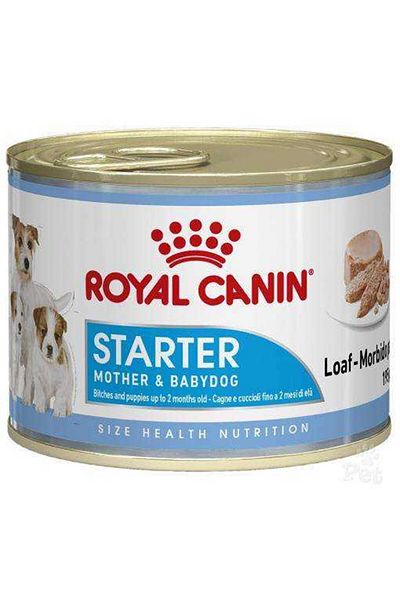 Royal Canin Starter Mousse Anne Ve Yavruları Için Köpek Konservesi 195 gr