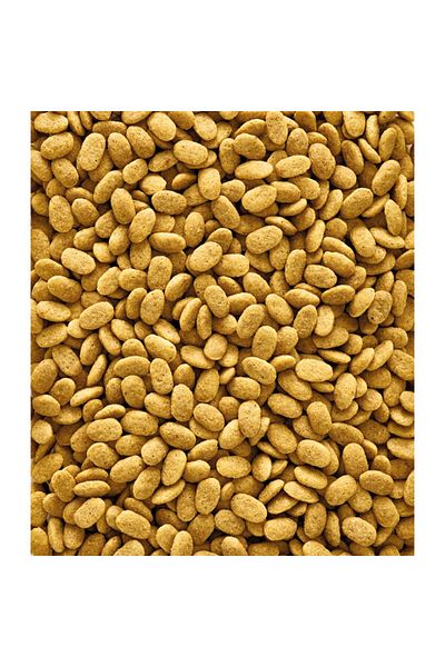 Versele Laga Nutribird P15 Original 10kg