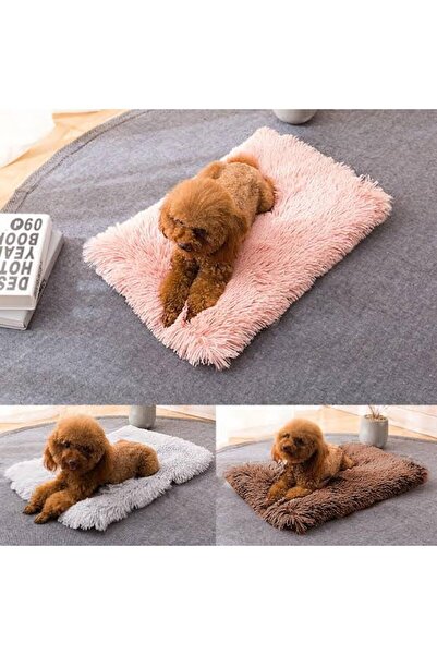 SERİA HALI Köpek Halısı 40x60 5 Adet Rengarenk Yumuşacık Post Halı Makinede Y...
