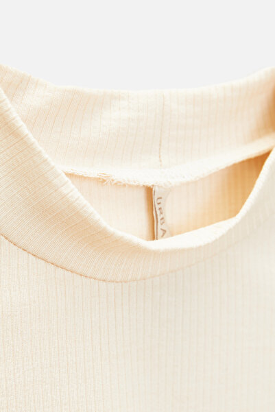 urban focus Stand Collar Body