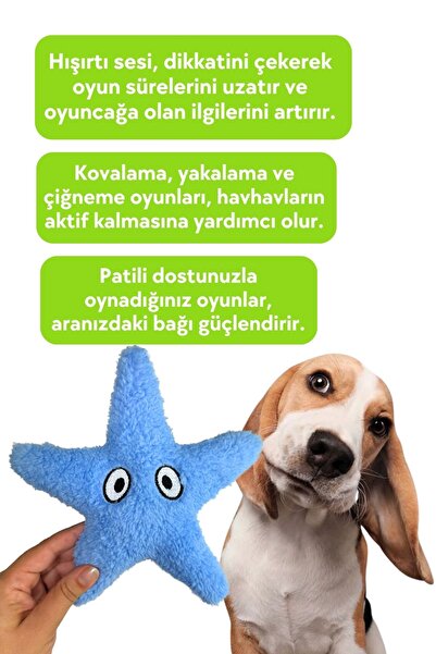 Havhav Mavi Denizyıldızı Peluş Köpek Oyuncağı Hışırtı Sesli Peluş Köpek Oyuncakları