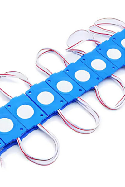 DEMİRLED Tekli Su Geçirmez 12 Volt 2.4 Watt Modül Led Mavi (10 Adet)