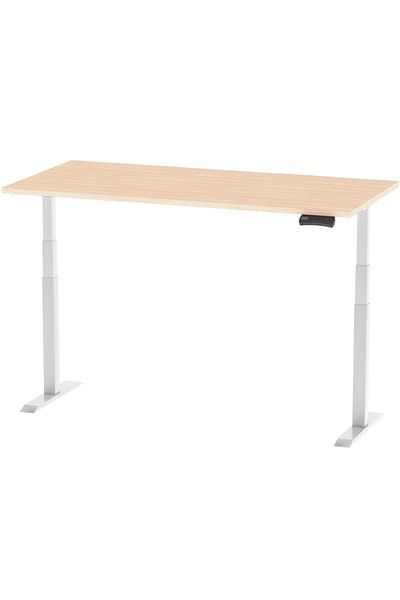 Mahmayi Flexispot Standing Desk Dual Motor 3 Stages Electric Stand Up Desk 120cmx60cm - Oak