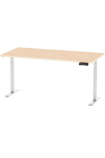 Mahmayi Flexispot Standing Desk Dual Motor 3 Stages Electric Stand Up Desk 160cmx80cm - Oak