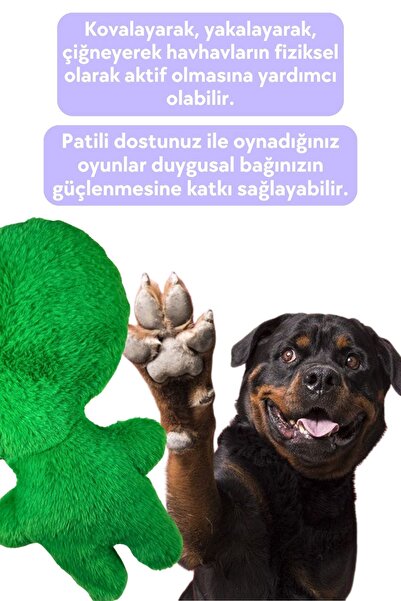 Havhav Yeşil Kurbağa Peluş Köpek Oyuncağı Vikvik Sesli Peluş Köpek Aktivite ve Uyku Arkadaşı