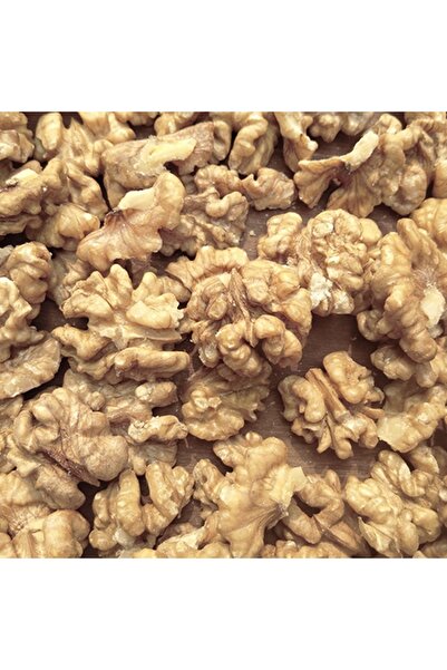 Tunç Botanik Kaman Ceviz Fidanı 3 Yaş Tüplü ve Aşılı