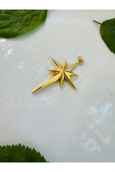 Takıkraliyeti kutup yıldızı kolye ucu