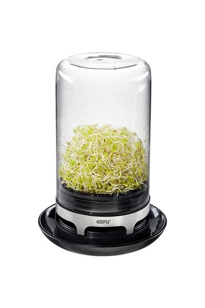 GEFU Bivita Spounting Seed Propagator Jar with Ventilated Base