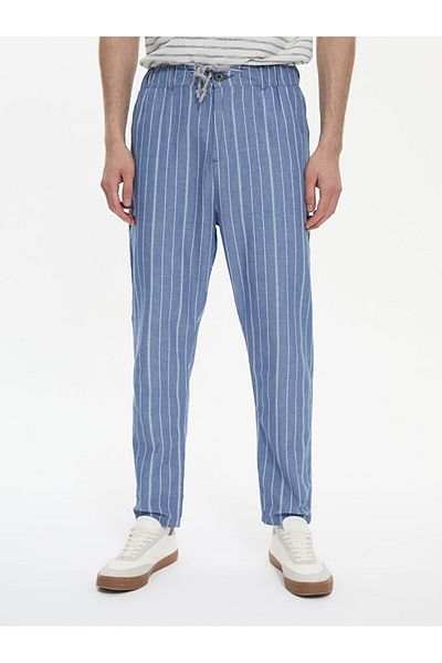 Ltb Striped Textured Blue Trousers