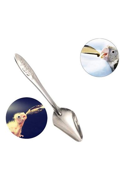 BGA Baby Parrot Feeding Spoon