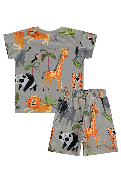 Civil Baby 6-18 Months Baby Boy Gray Shorts Set