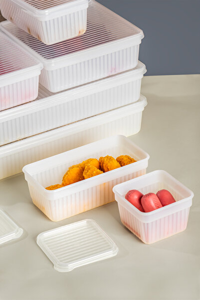 Porsima 2010 8-Piece Freezer Refrigerator Organizer Pulses Storage Container Set Suitable for Deep Freezer